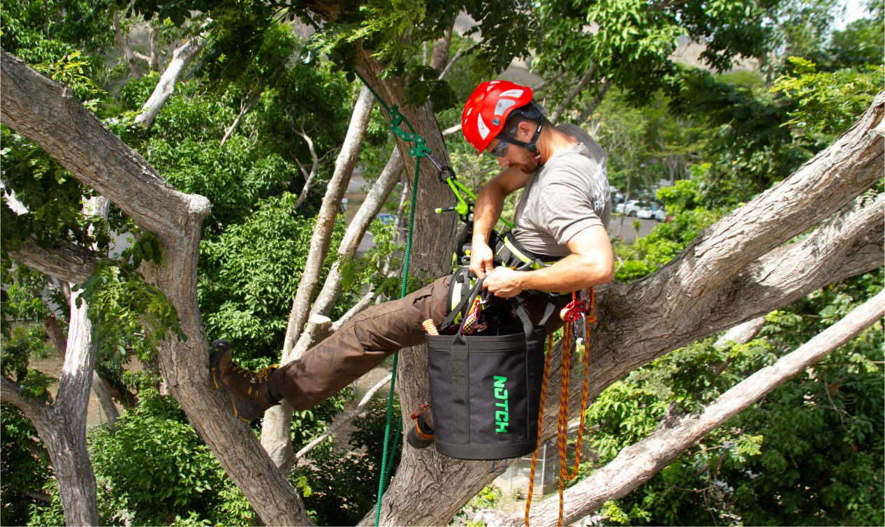Affordable tree surgery services, available across Lincolnshire, including Lincoln, Boston, Grantham, Sleaford and Spalding.