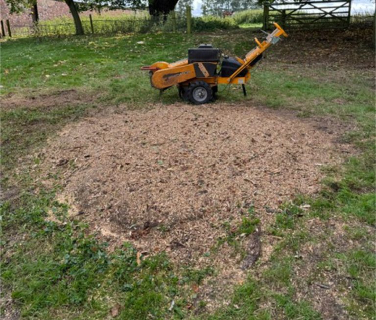 Stump Grinding After