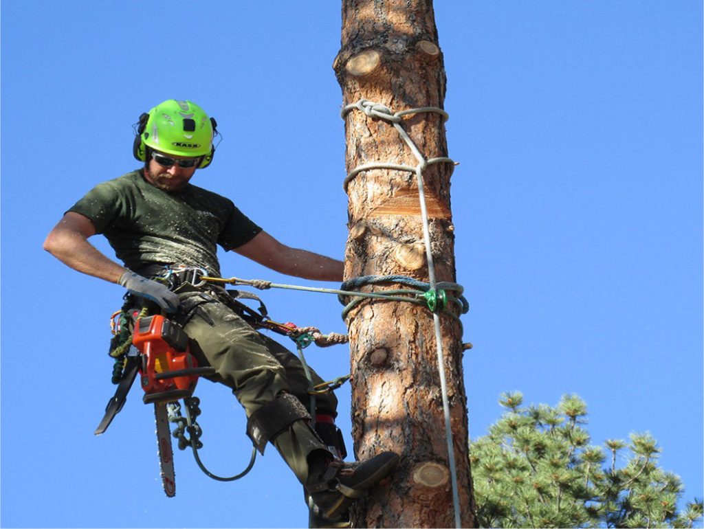 Crown Lifting